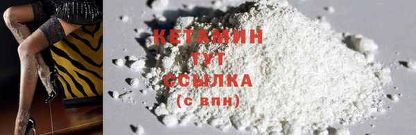 ПСИЛОЦИБИНОВЫЕ ГРИБЫ Каменка