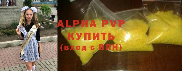 ПСИЛОЦИБИНОВЫЕ ГРИБЫ Каменка