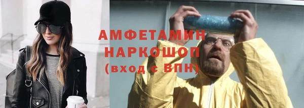 ПСИЛОЦИБИНОВЫЕ ГРИБЫ Каменка