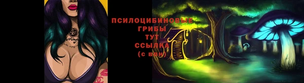 ПСИЛОЦИБИНОВЫЕ ГРИБЫ Каменка