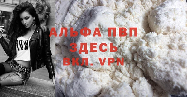 apvp Каменногорск