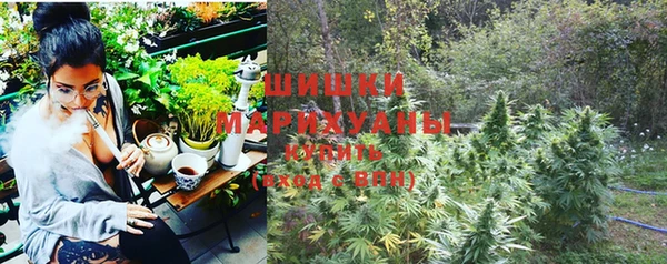 apvp Каменногорск