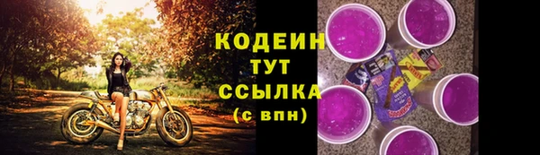 apvp Каменногорск