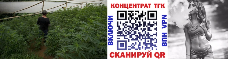 Дистиллят ТГК жижа  Купить где  Сортавала 